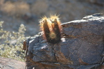 photo thumbnail #6