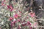 photo thumbnail #2