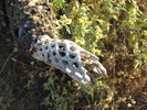photo thumbnail #3