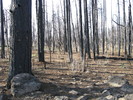 photo thumbnail #9