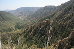 photo thumbnail #7