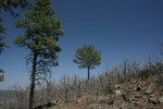 photo thumbnail #9