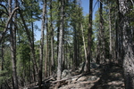 photo thumbnail #14