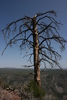 photo thumbnail #15