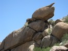 photo thumbnail #4
