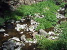 photo thumbnail #12