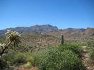 photo thumbnail #2
