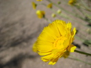 Featured Detail Photo