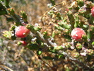 photo thumbnail #13