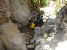 photo thumbnail #1