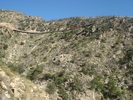 recent photo