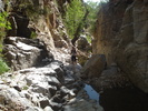 recent photo