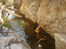 photo thumbnail #8