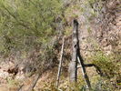 photo thumbnail #9