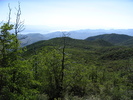 photo thumbnail #6