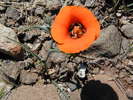 photo thumbnail #14
