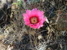 photo thumbnail #15