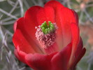 photo thumbnail #4