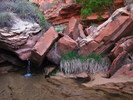 photo thumbnail #11