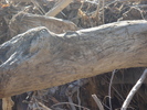 photo thumbnail #9