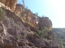 photo thumbnail #12