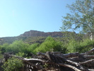 photo thumbnail #14
