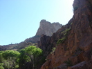 recent photo