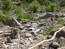 recent photo