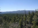 photo thumbnail #1