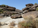photo thumbnail #10