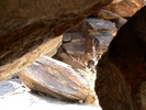 photo thumbnail #12