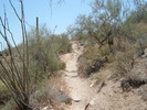 photo thumbnail #9