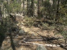 photo thumbnail #7
