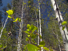 photo thumbnail #8