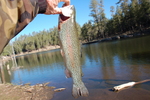 photo thumbnail #7