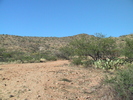photo thumbnail #1