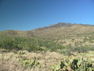 photo thumbnail #2