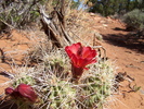 photo thumbnail #3