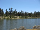 photo thumbnail #3