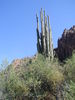 photo thumbnail #3