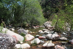 photo thumbnail #7