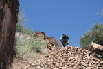 photo thumbnail #10