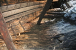 photo thumbnail #14