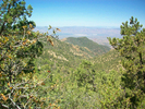 photo thumbnail #9