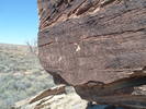 photo thumbnail #15