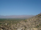 recent photo
