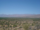 recent photo