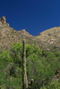 photo thumbnail #15