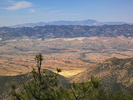 photo thumbnail #4