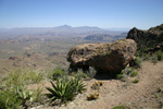 photo thumbnail #3